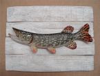 Brochet